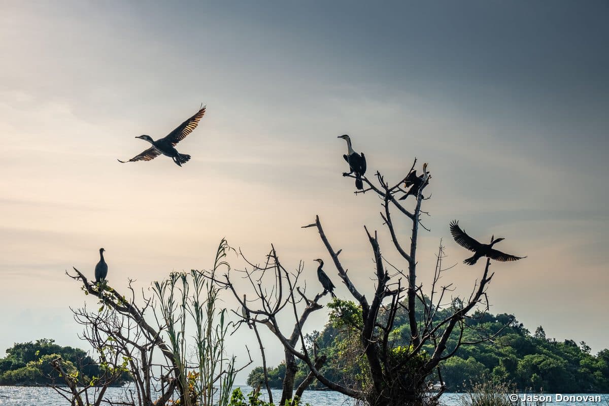 Sunset boat on Lake Kivu, Rwanda
