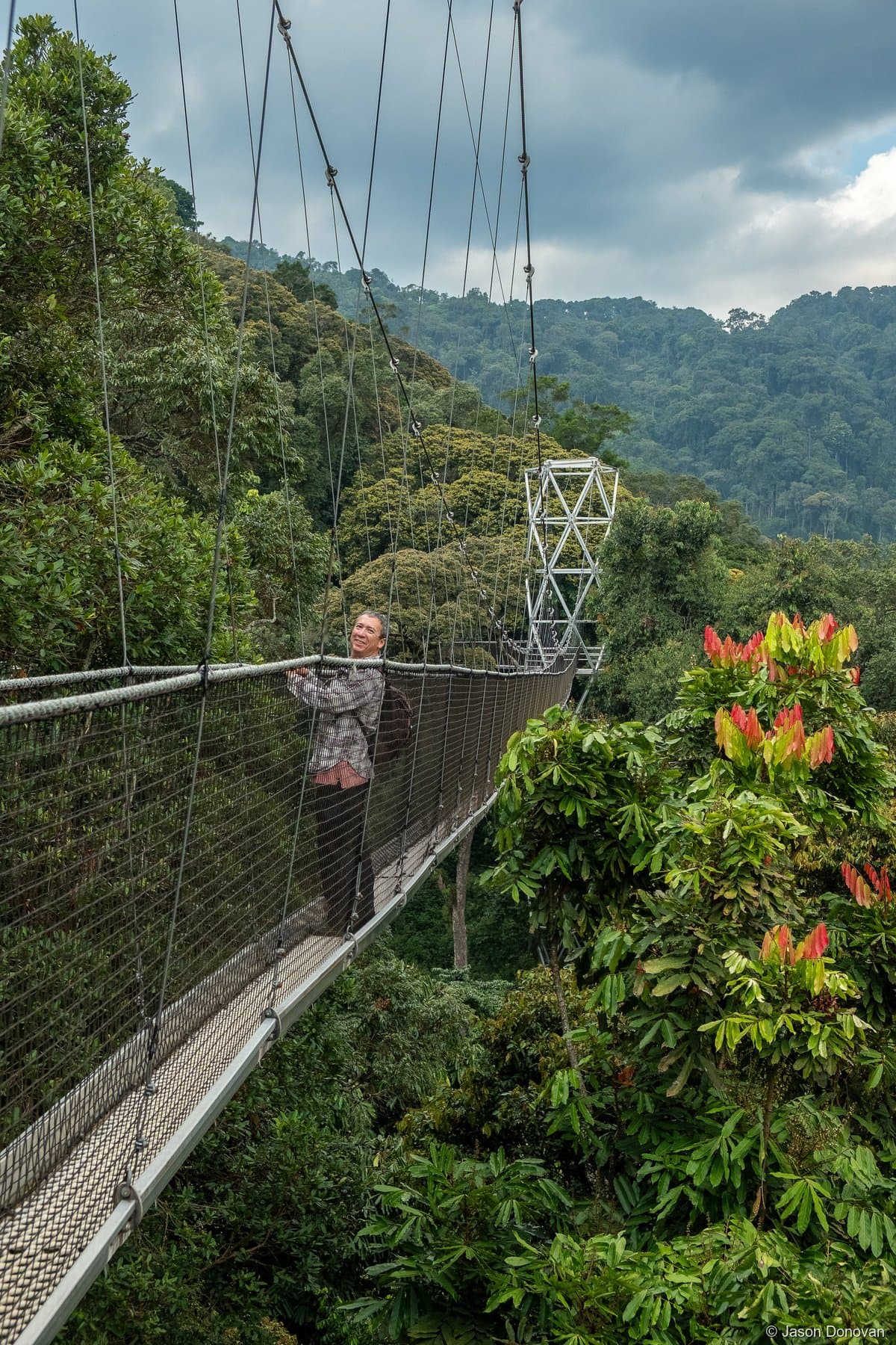Jason on canopy walkway suspension bridge above Nyungwe Rainforest, Rwanda