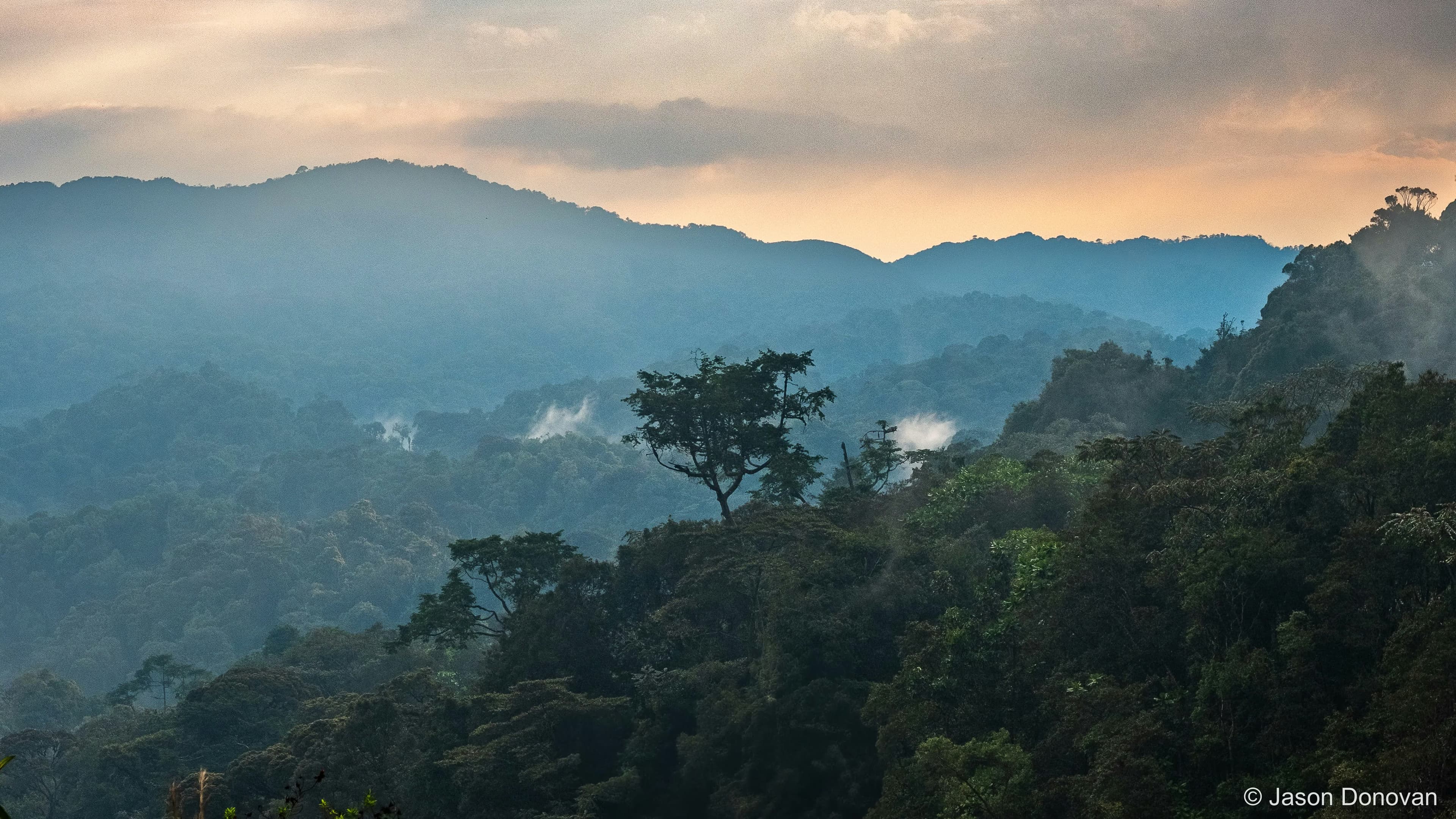Sunset at Nyungwe Rwanda photography by Jason Donovan