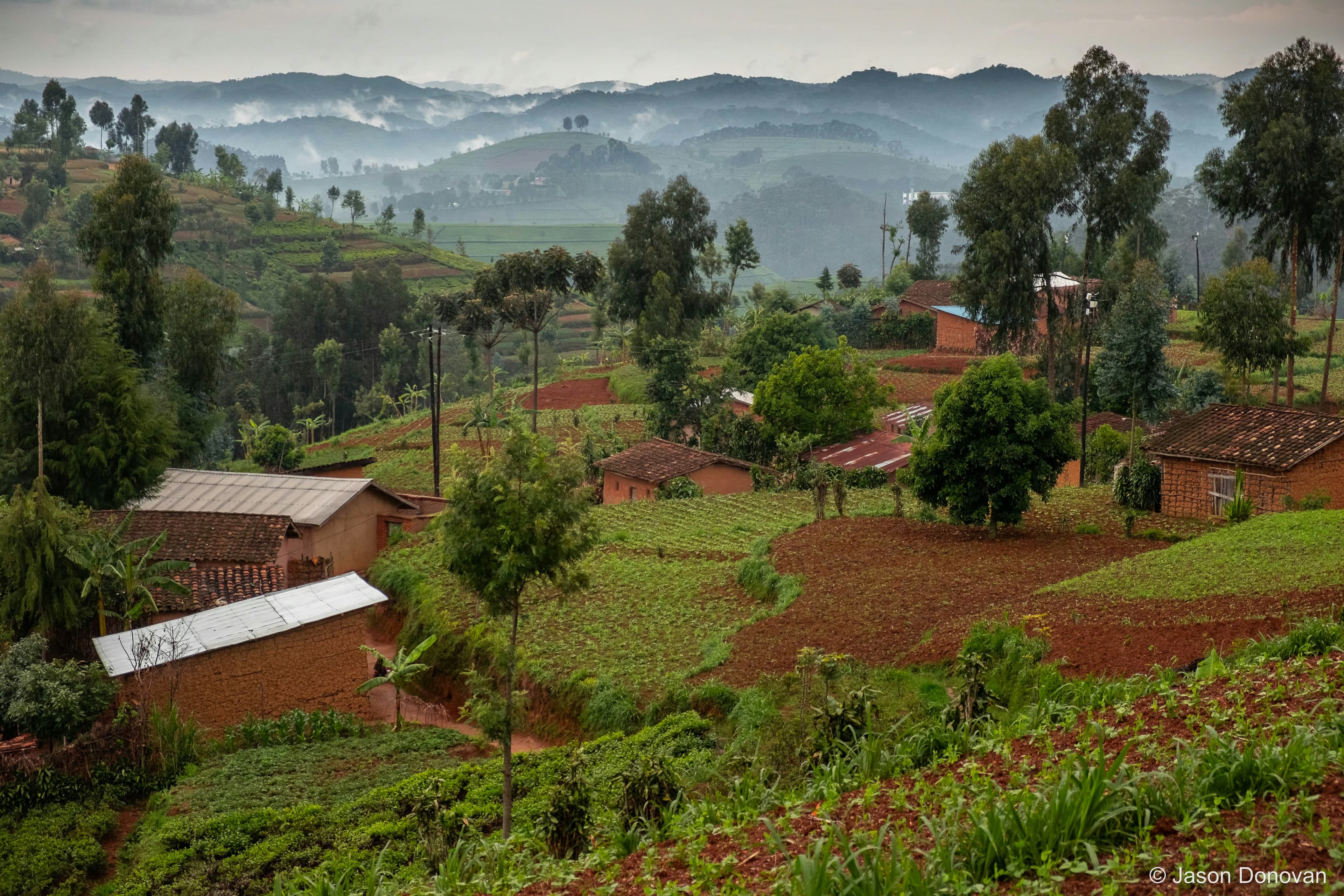 Countryside vista Rwanda photography by Jason Donovan