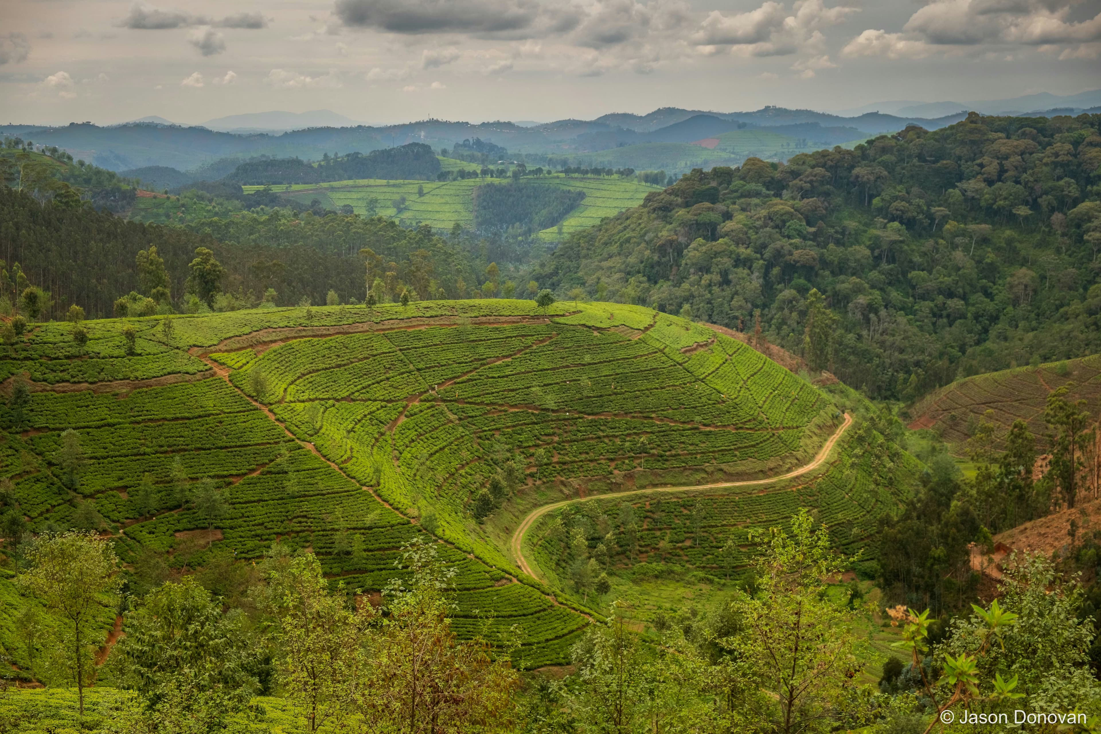 Hills into the distance Rwanda photography by Jason Donovan