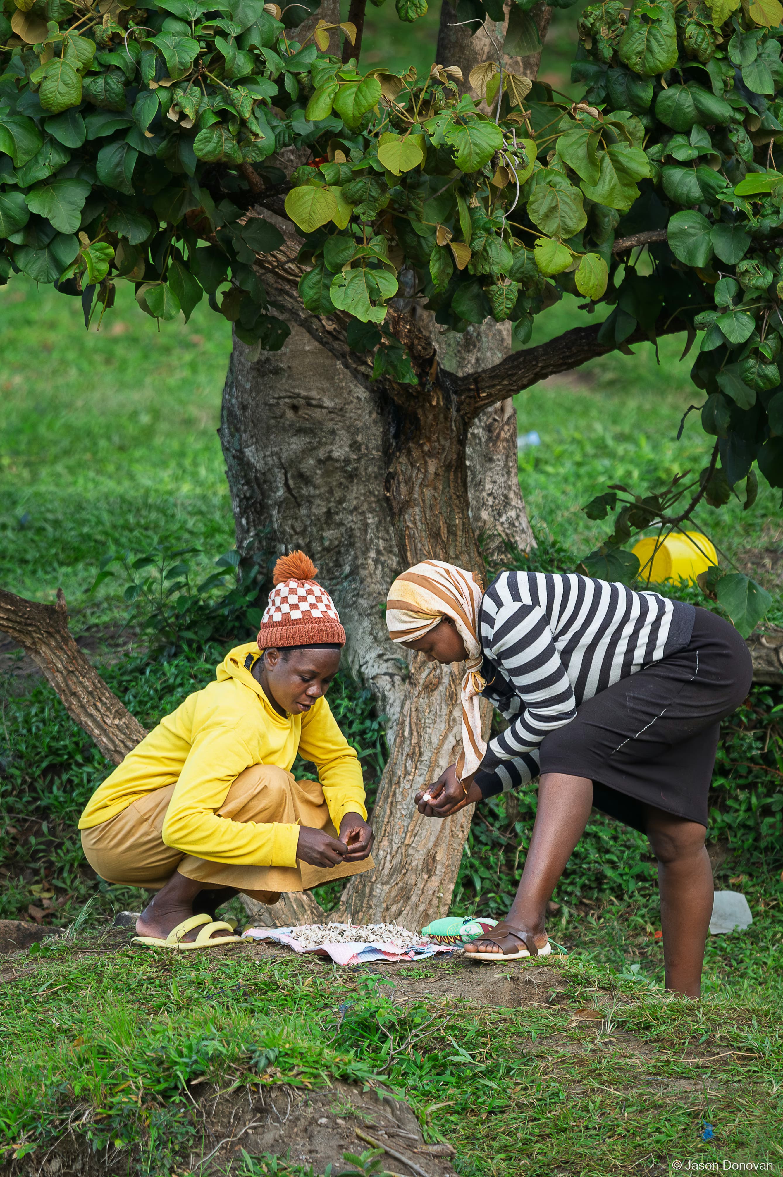 Preparing fish early morning Rwanda photography by Jason Donovan