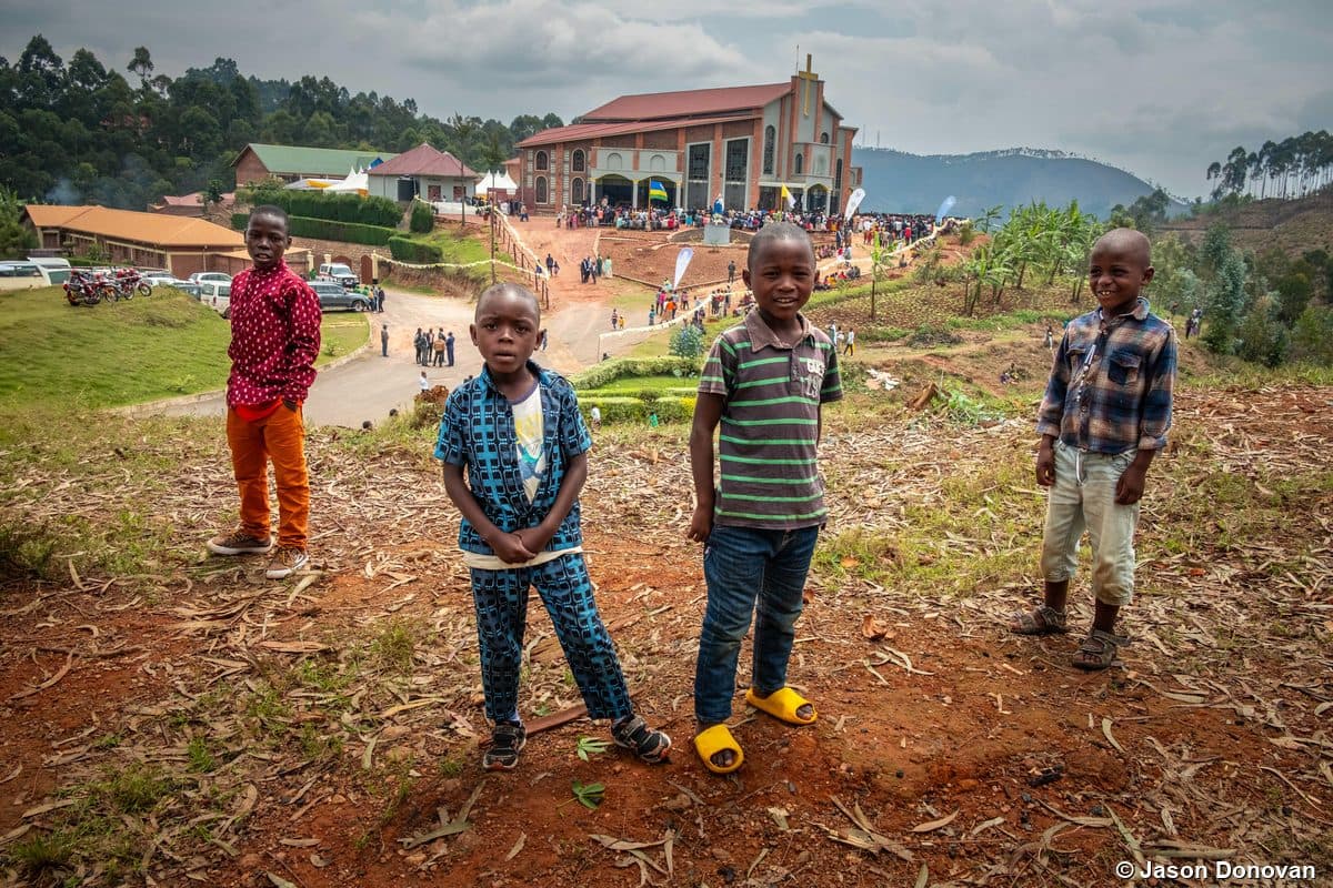 Rice fields in Rwanda