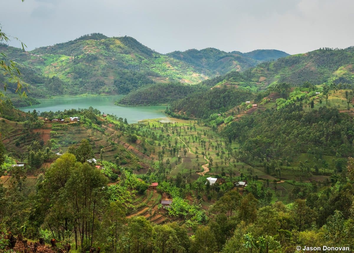 Rwanda landscape — rolling hills and terraced farmland