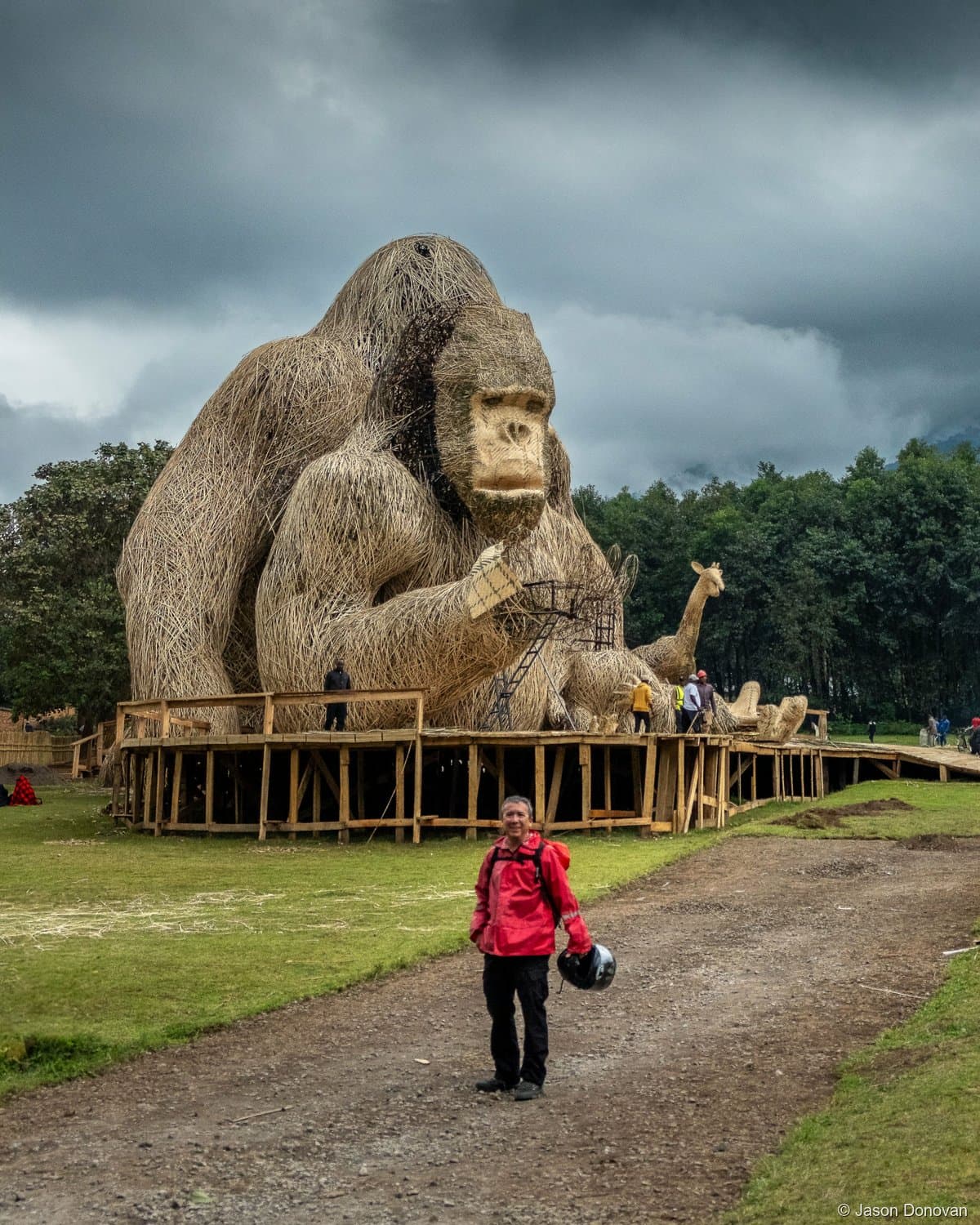 Giant gorilla sculpture at Kwita Izina naming ceremony site Volcanoes Rwanda