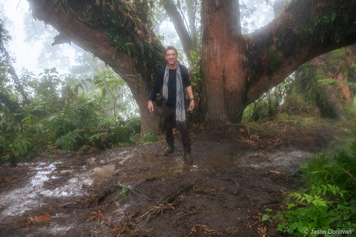 Jason walking through giant tree roots in rain Volcanoes National Park Rwanda