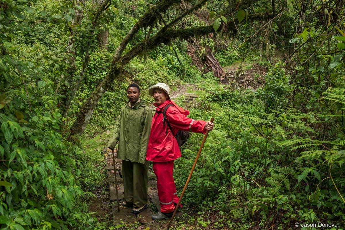 Two trekkers in red rain gear on muddy forest trail Volcanoes National Park Rwanda